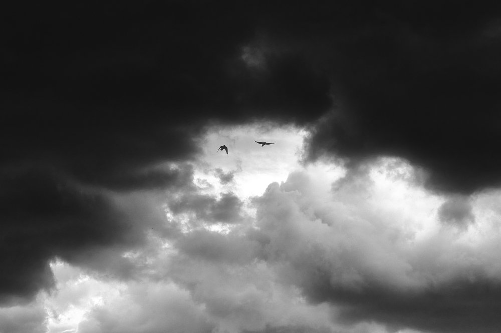 Photograph by Рамиль Газизов