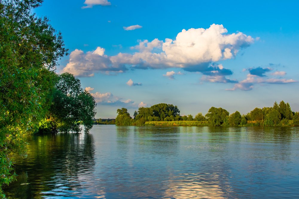 Photograph by Дмитрий Жижин