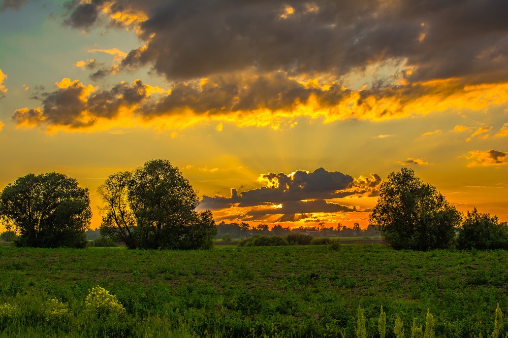 Photograph by Дмитрий Жижин