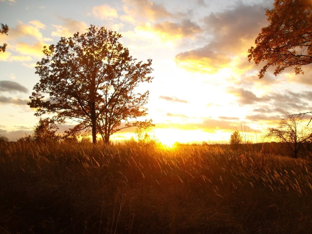 Photograph by Наталья Цуран