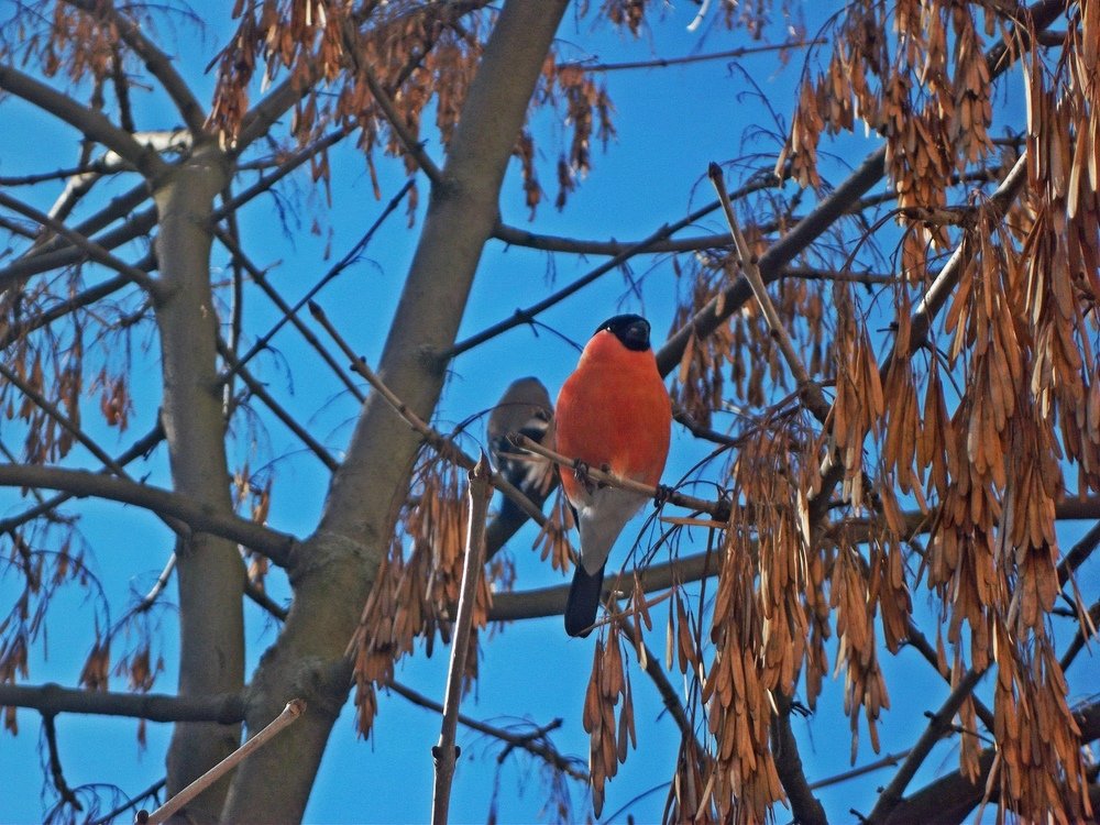 Photograph by Наталья Цуран