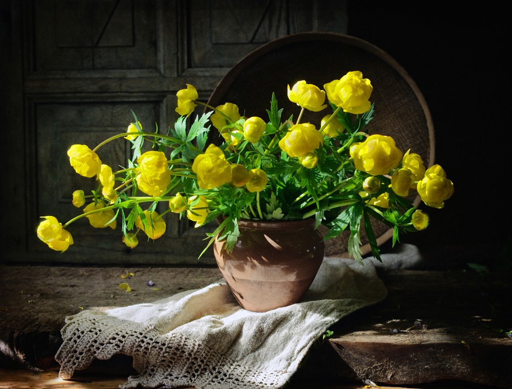 Купальница