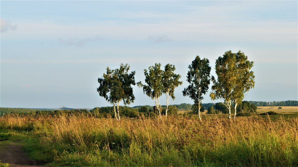 Утро в Сибири