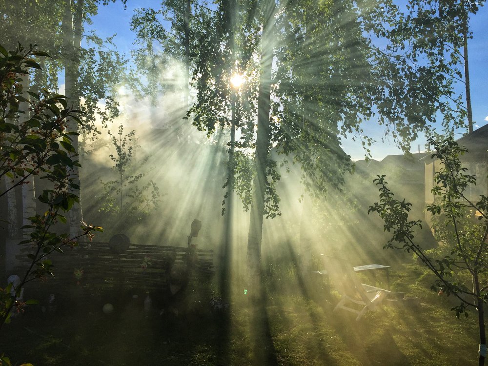 Лучи солнца