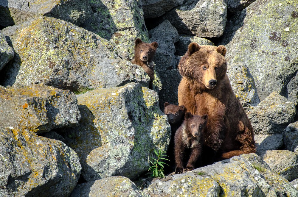 На острове Саманг
