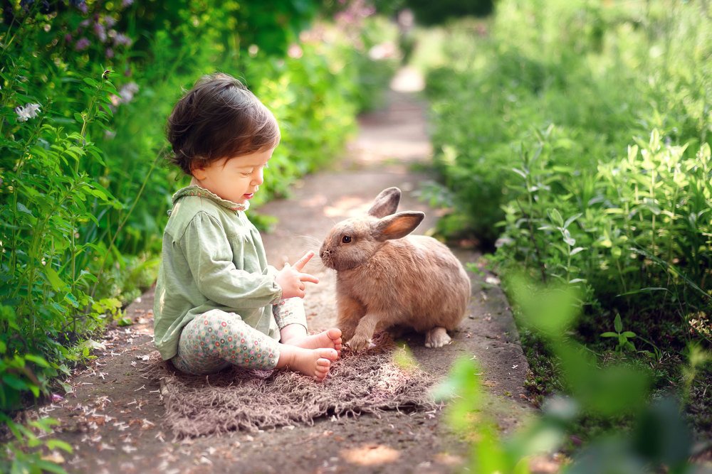 Давай знакомится...