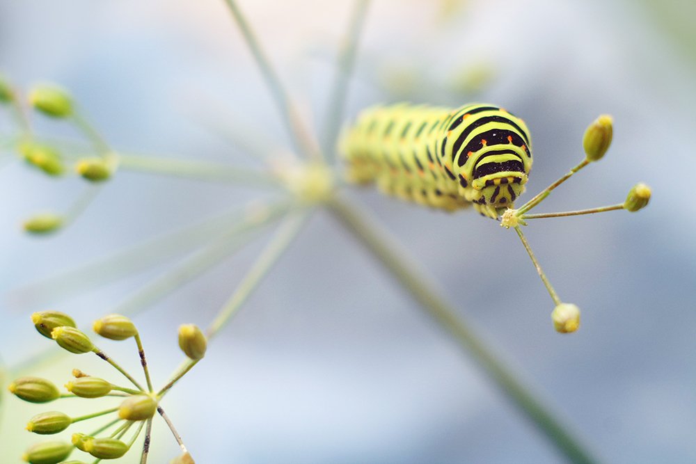 Photograph by Аркадова Елена