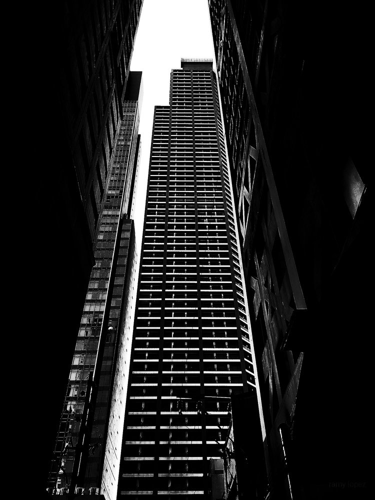 Into the skyscrapers