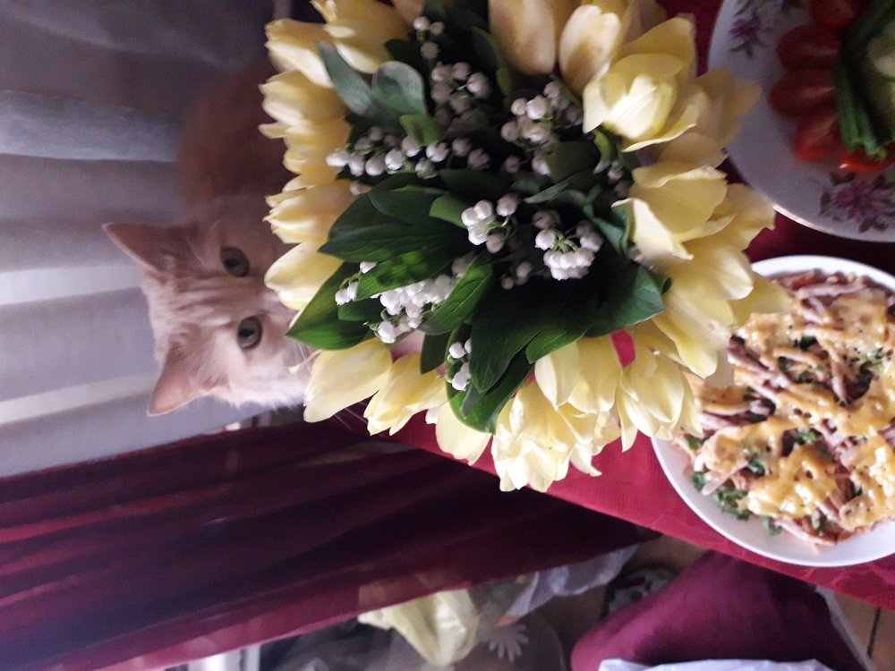 Я лучший цветочек в твоем букете