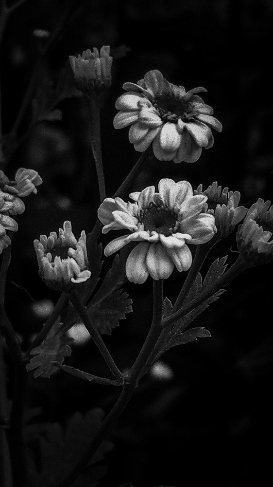 Photograph by Mykhailo Makarov