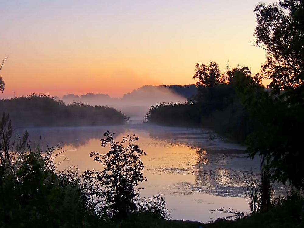 Утро туманное