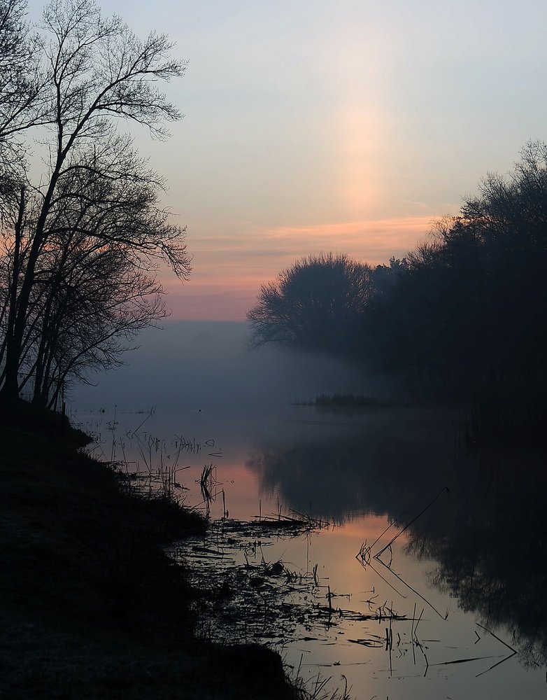 Весеннее утро