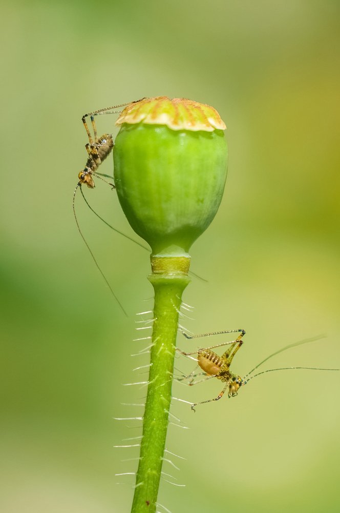 Не уходи..я пошутила)
