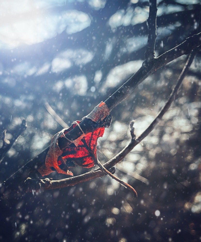 Photograph by Валентина Старикова