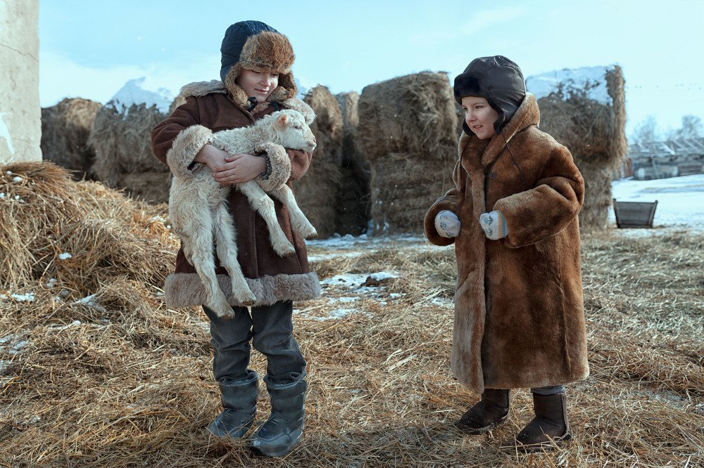 братья на ферме