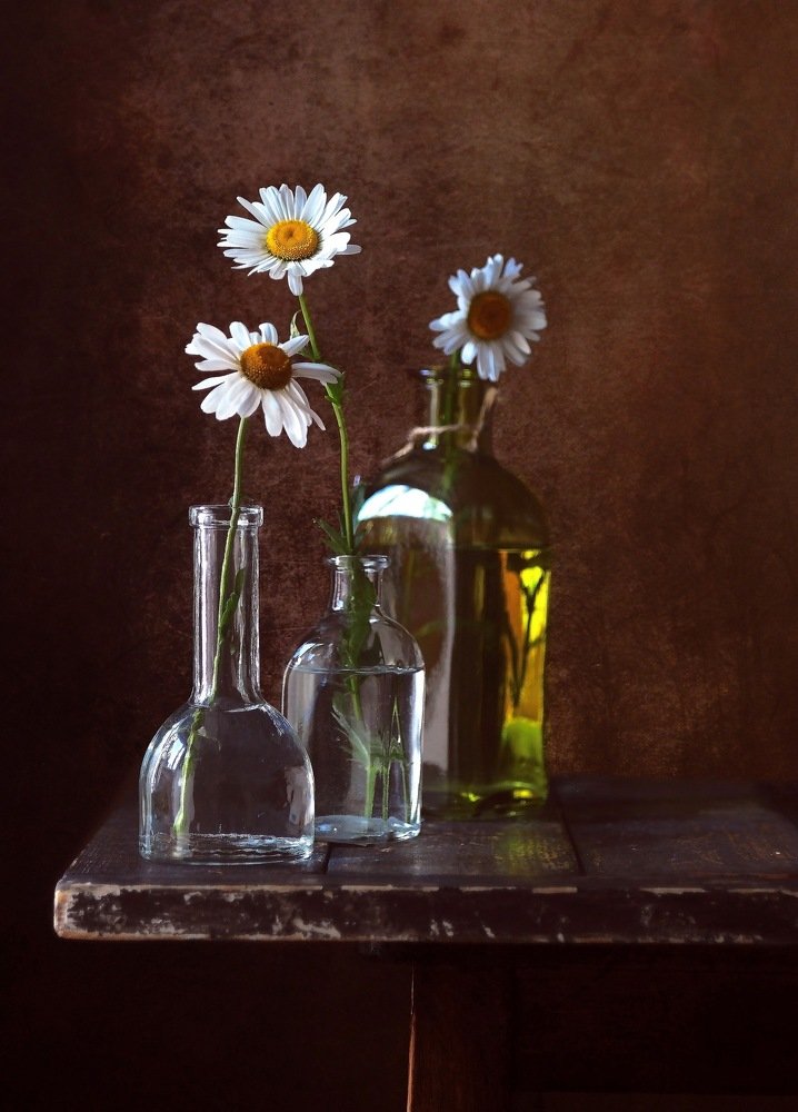 Раз ромашка, два ромашка, три...