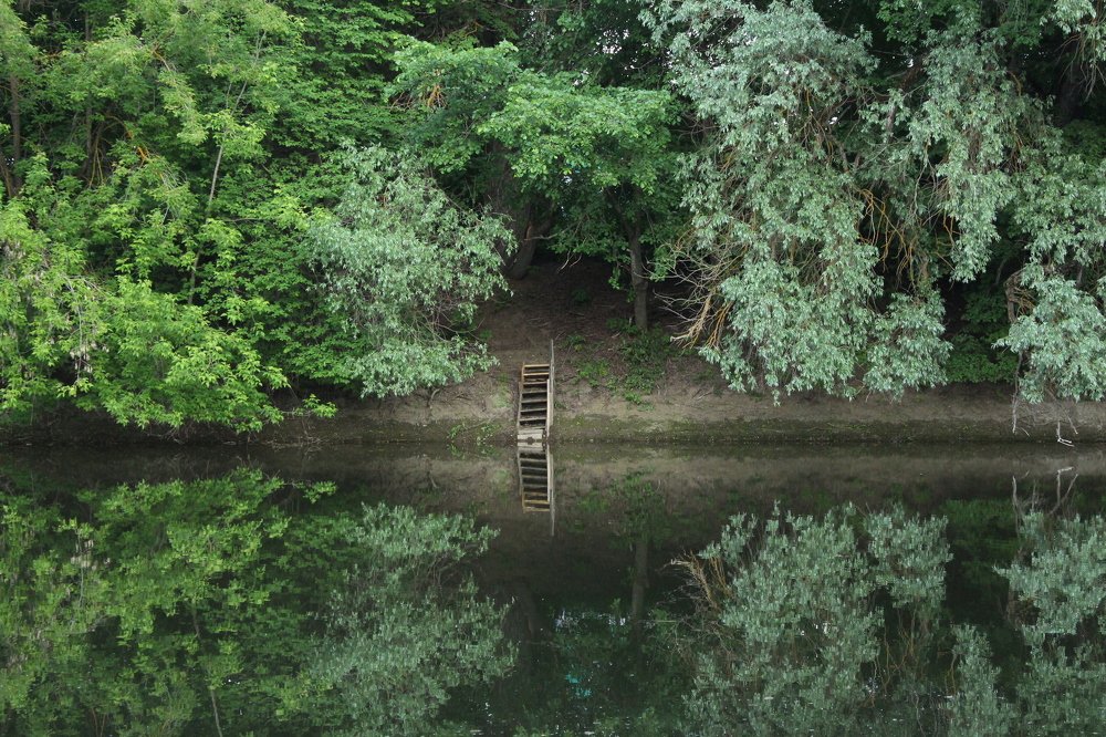 Вечерняя тишина