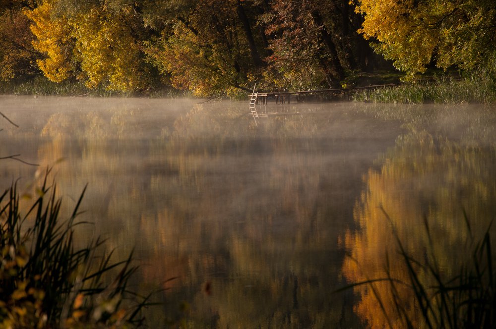 Smoke on a water // Дым над водой