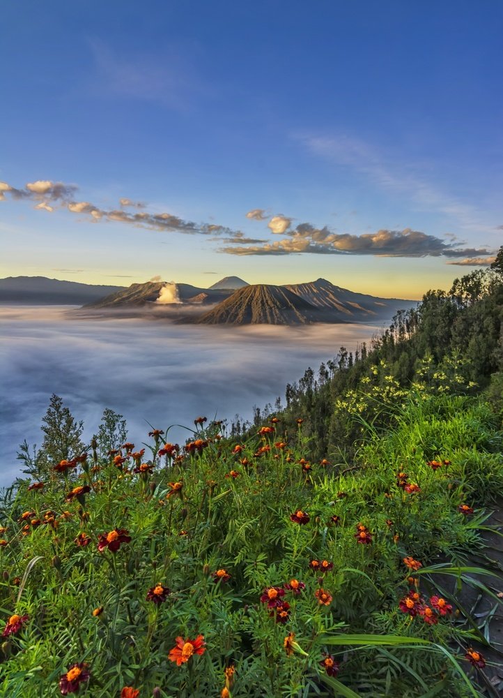 Beautiful view of Bromo Mountain