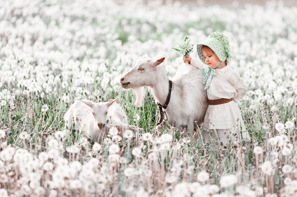 Одуванчиковое настроение