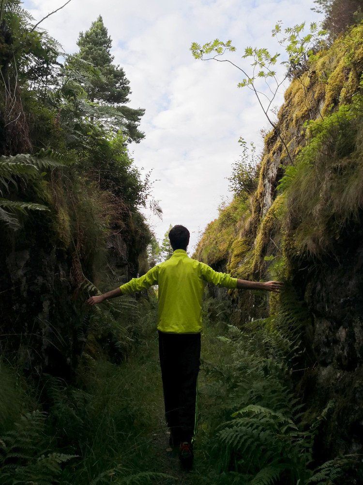 Photograph by Stefan Apostol