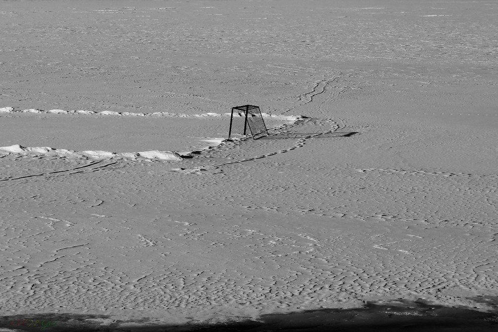 "Гол в свои ворота"