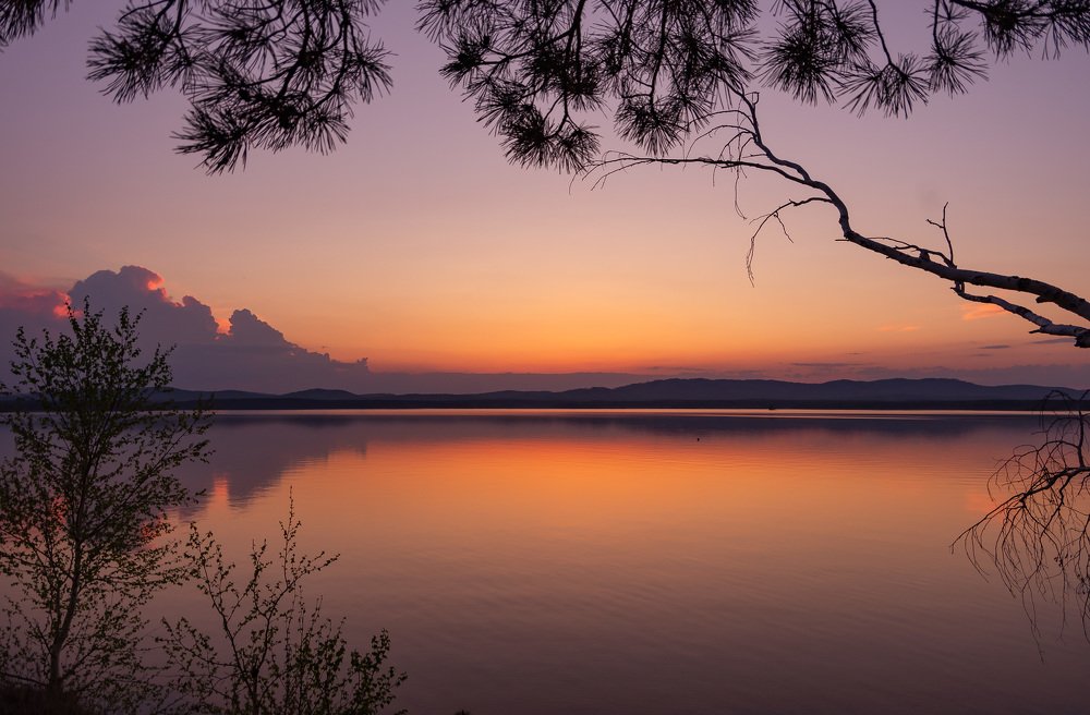 Терпкий вечер