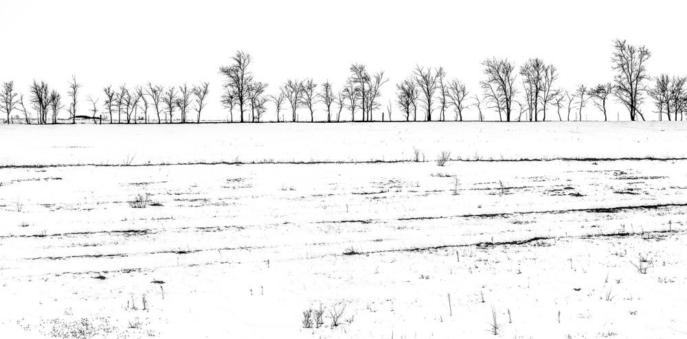 Photograph by Анатолий Асеев