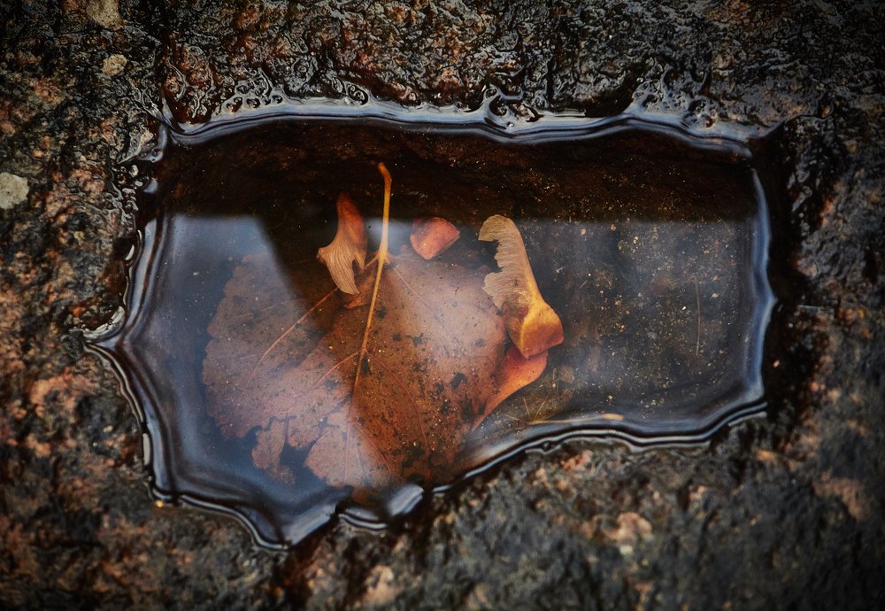 Осенняя фантазия.