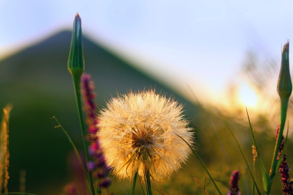 Photograph by Максим Митченко