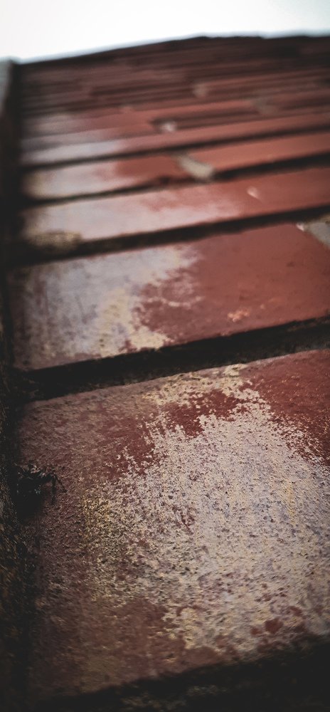 Bricks