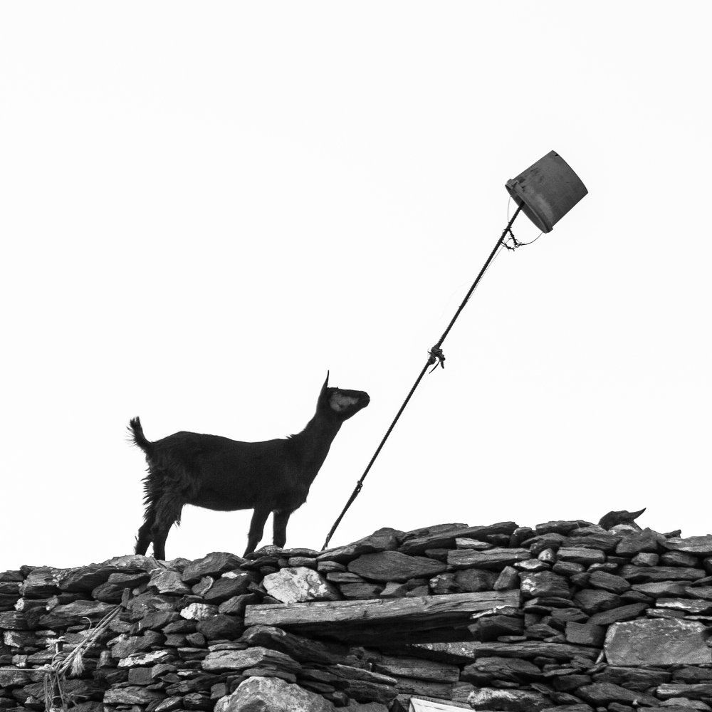 Photograph by Eriks Zilbalodis