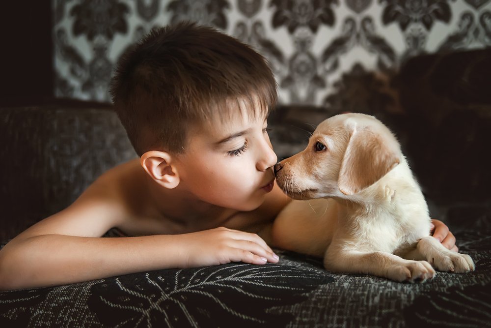 Photograph by Любовь Морец