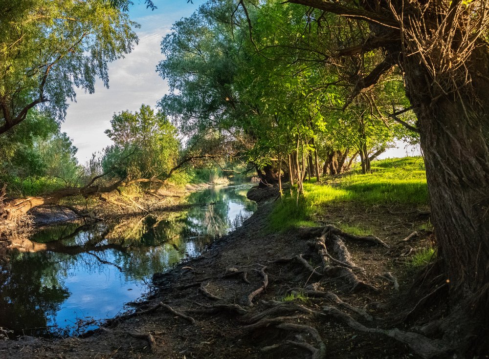 Photograph by Рустам Тулендеев