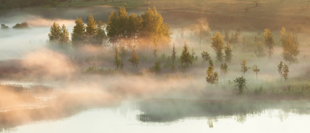 Солнечный туман.