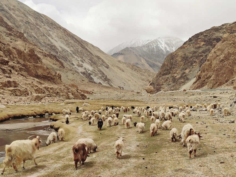 Our barren is their Kingdom!