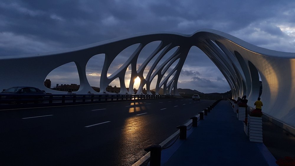 Coral - shaped bridge