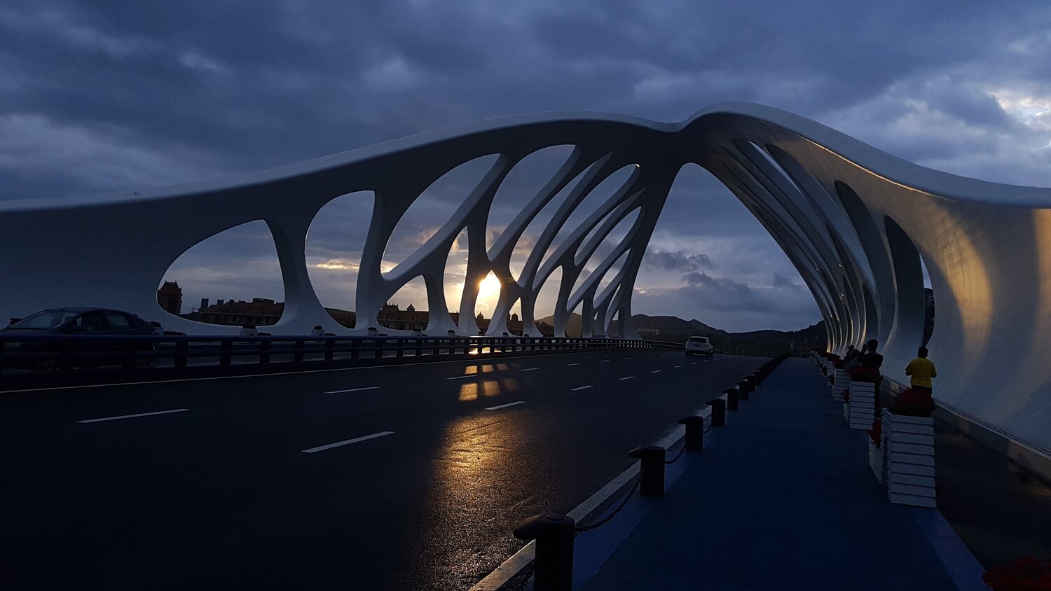 Coral - shaped bridge