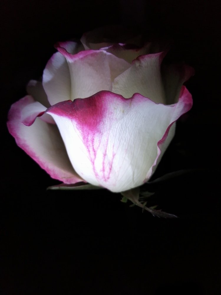 Photograph by Михаил Черкашин