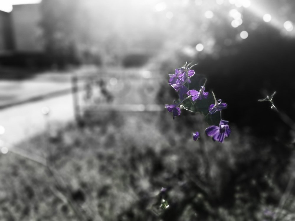 Photograph by Михаил Черкашин