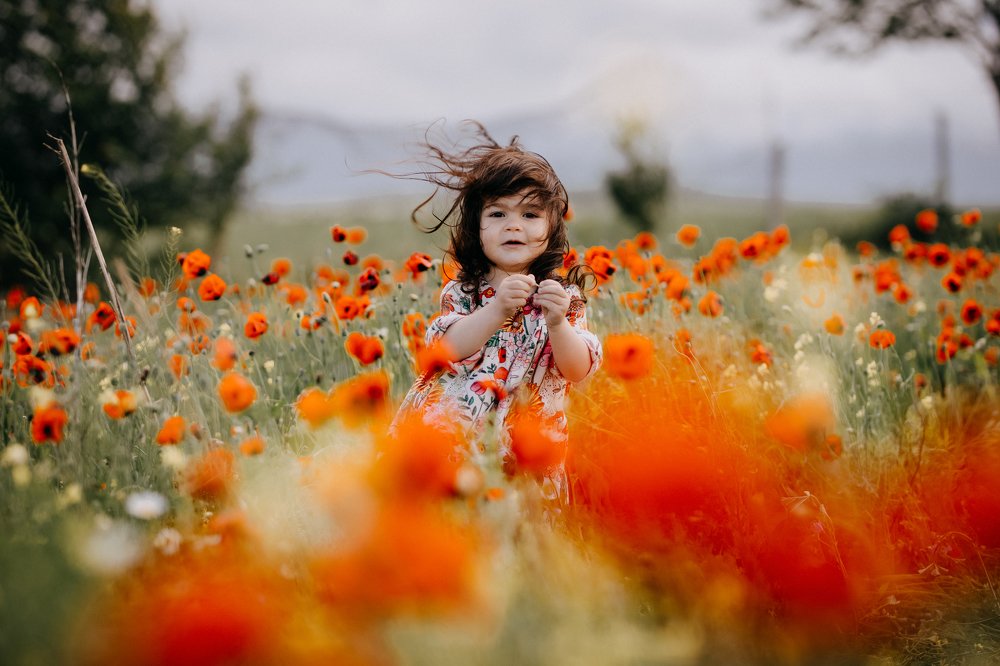 In field of poppies