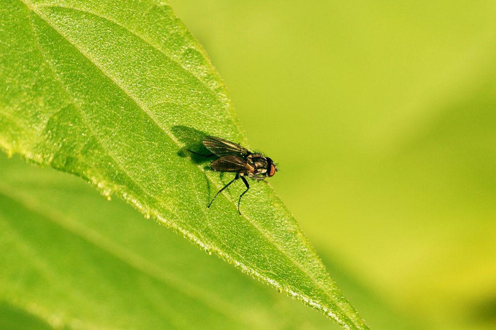 Фотография автора Дмитрий Караваев