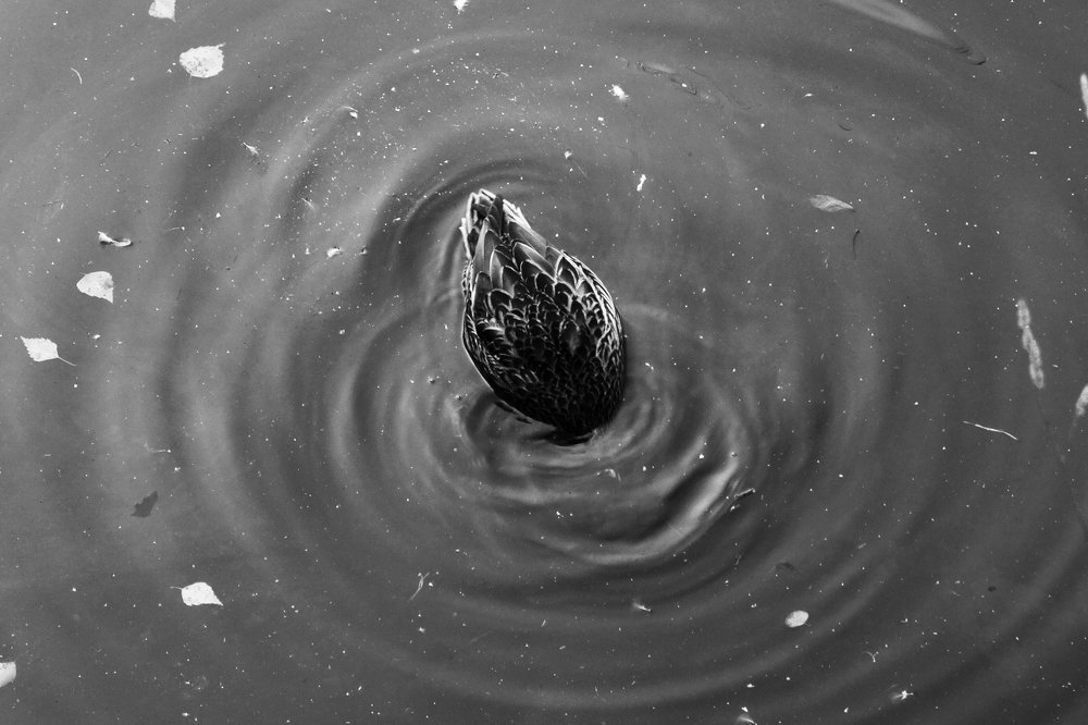 Фотография автора Дмитрий Караваев