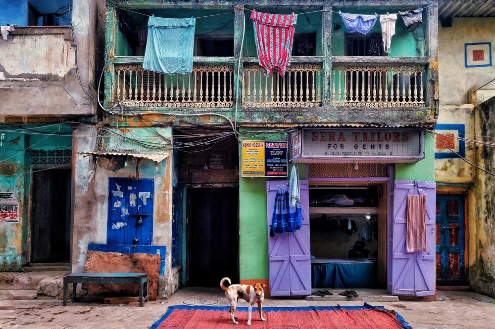 Colours on the streets of Kolkata