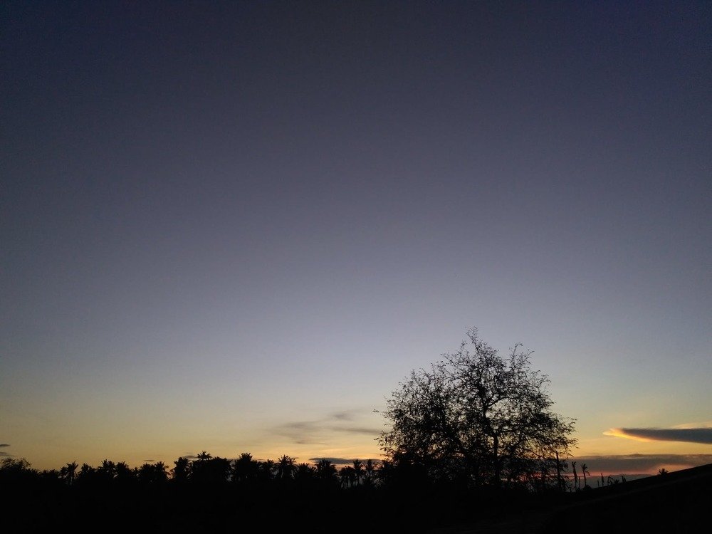 Sunlight photography