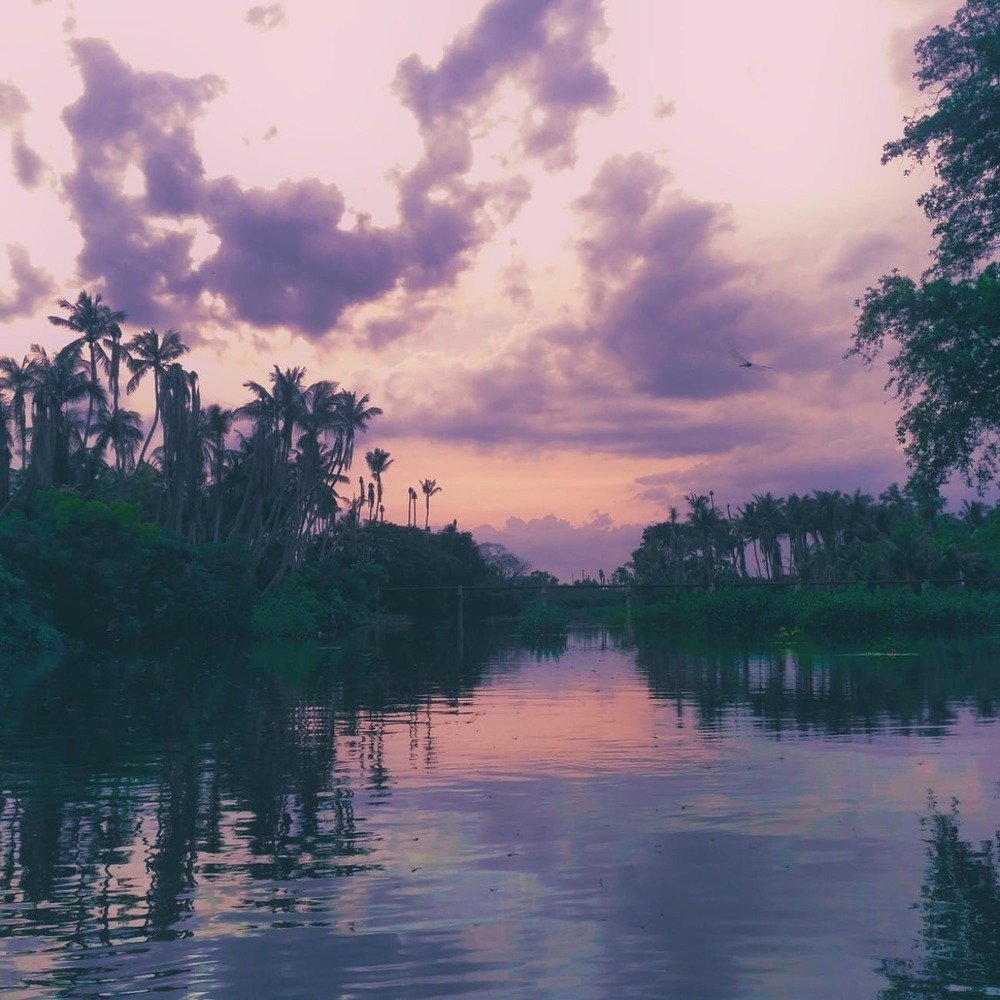 Nice Sunlight photography