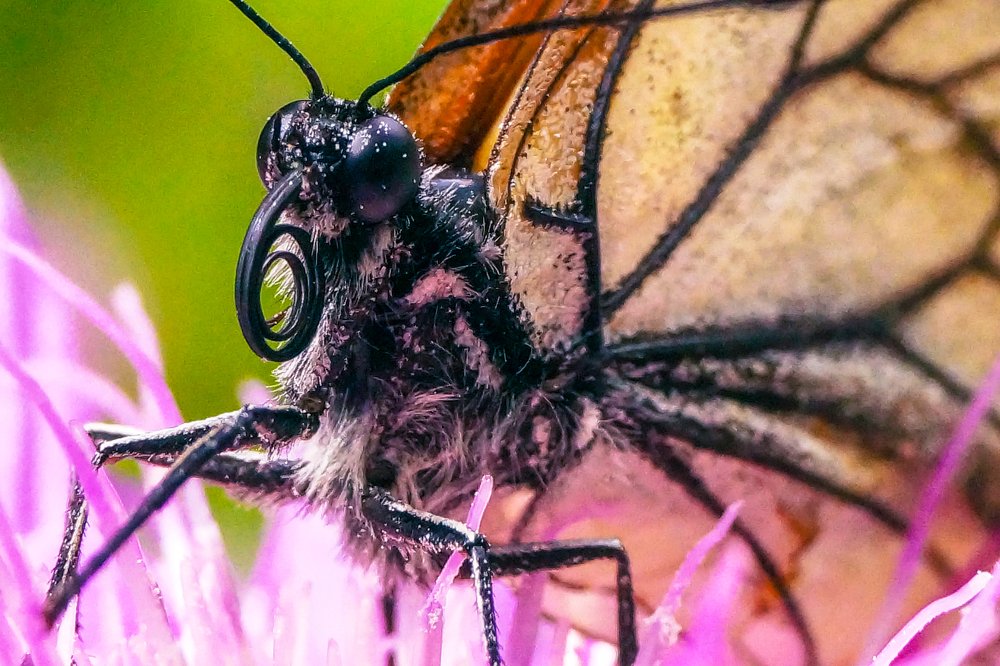 Фотография автора Дмитрий Караваев