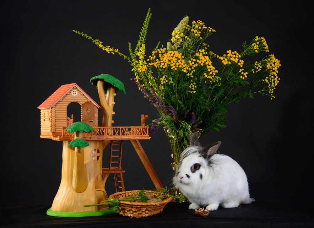 Отражение любви, нежности и красоты