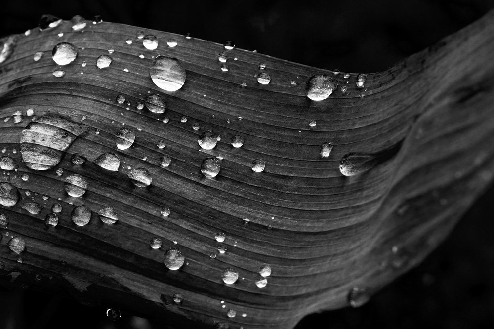 Фотография автора Дмитрий Караваев