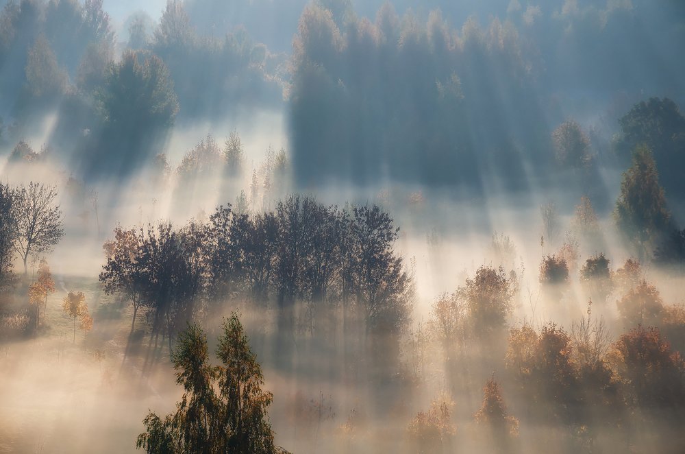 Лучится рассвет